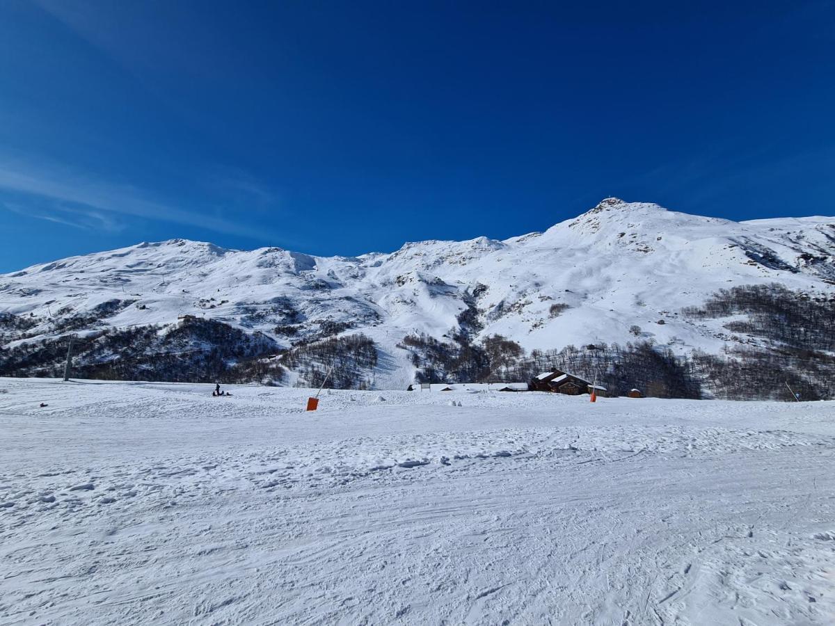 סן-מרטין-דה-בלוויל Chalet Le Granitic מראה חיצוני תמונה